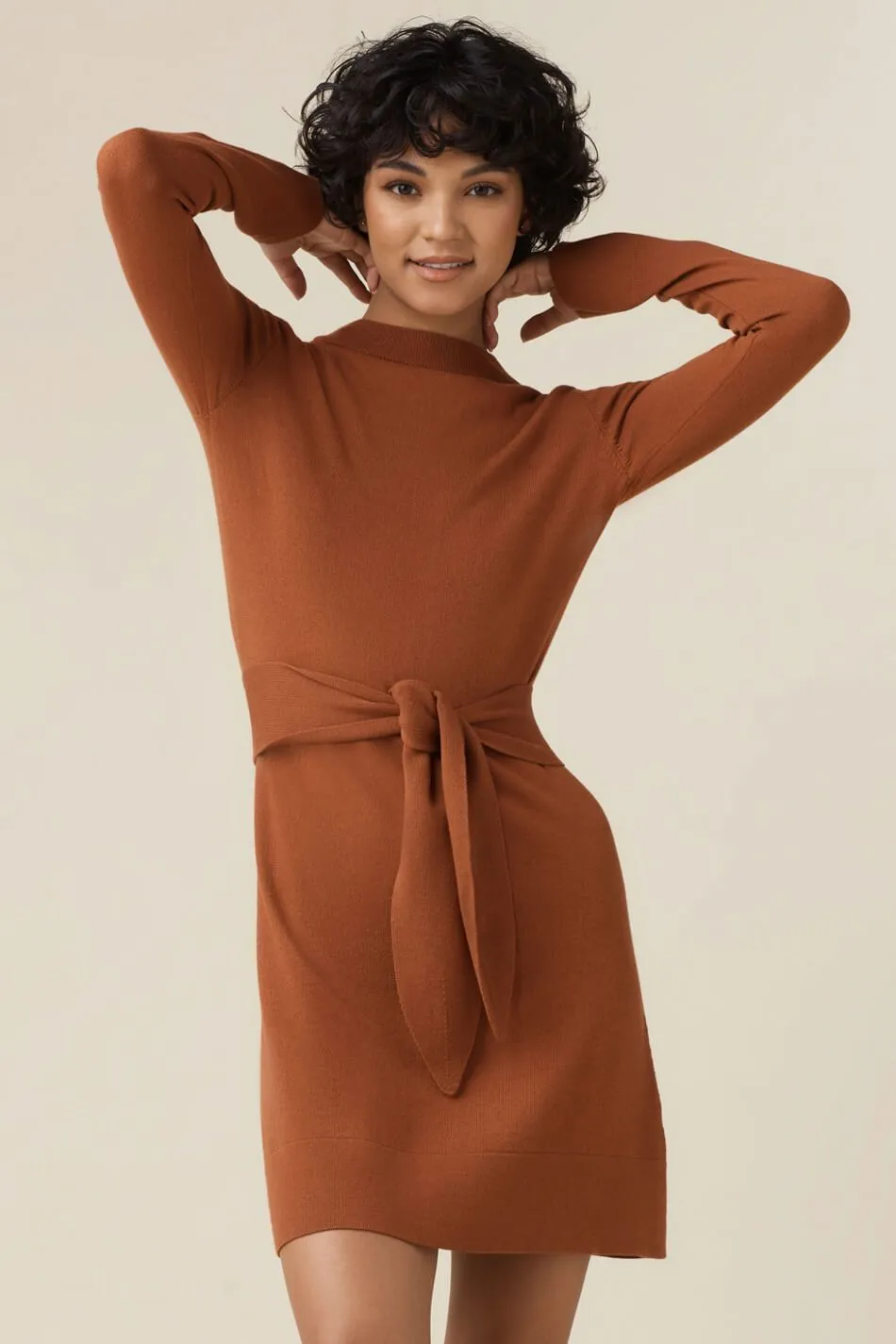 The Mockneck Sweater Dress - Original
