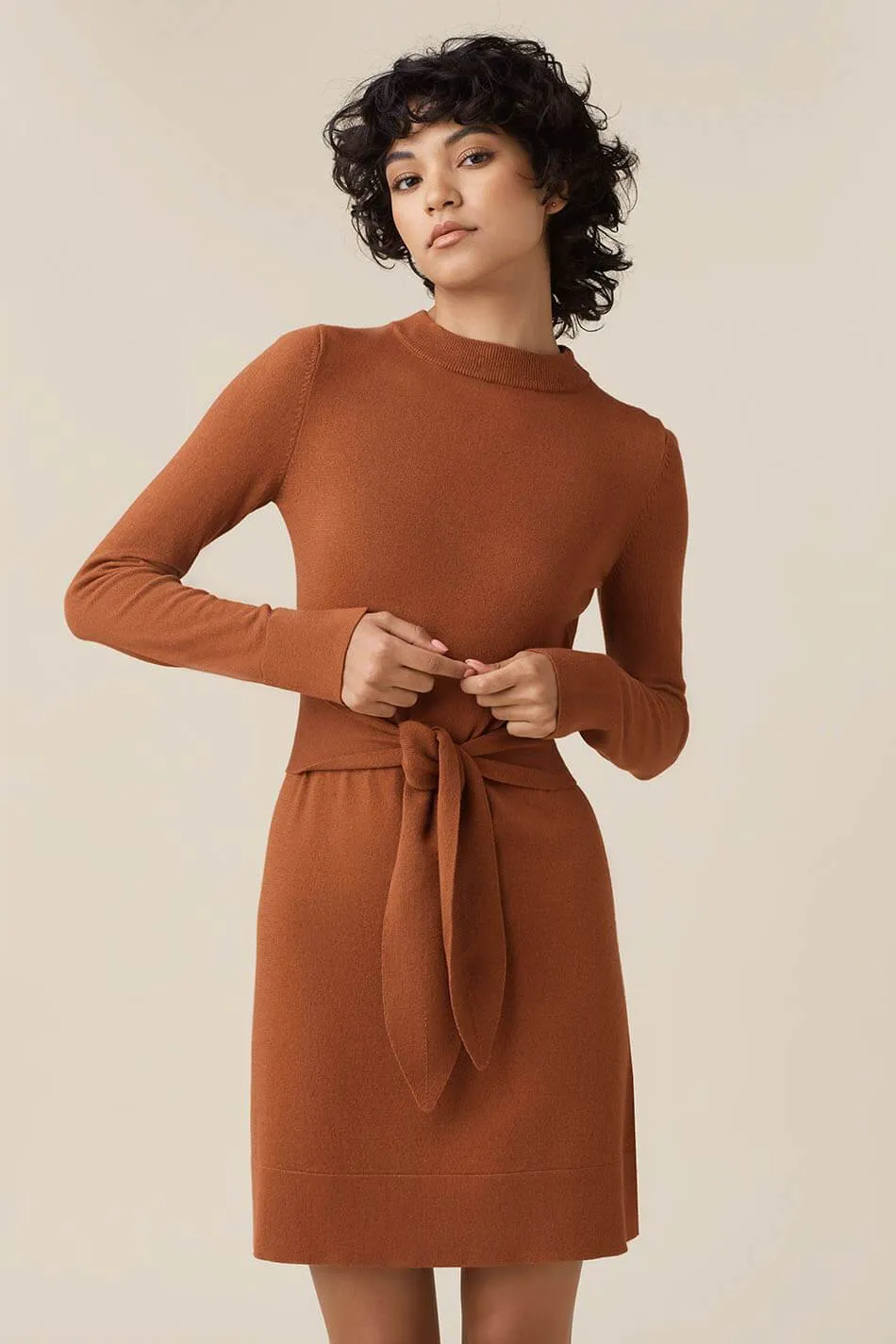 The Mockneck Sweater Dress - Original