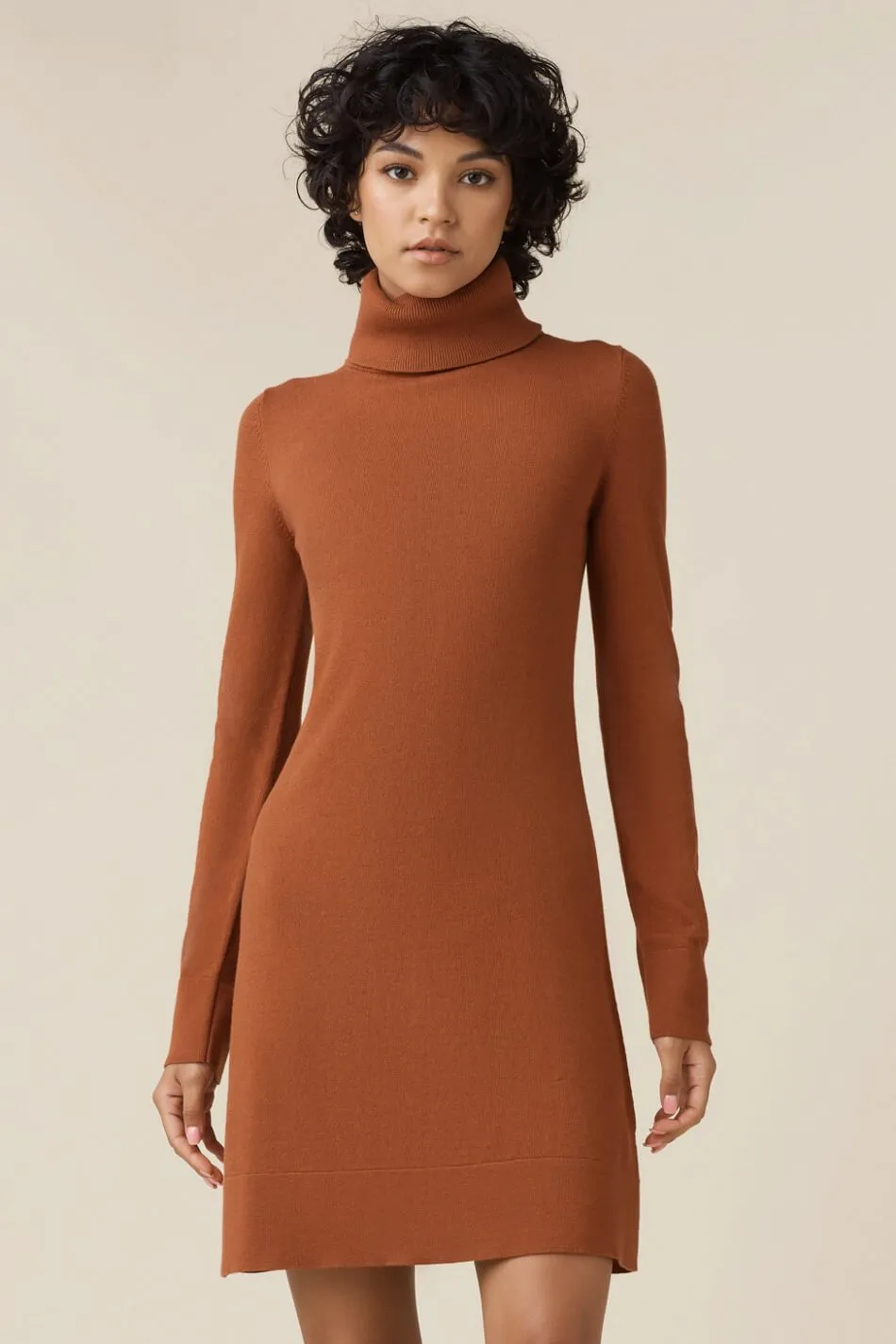 The Mockneck Sweater Dress - Original
